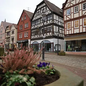 Apartment Romantisches Main Erlebnis, Gemunden am Main
